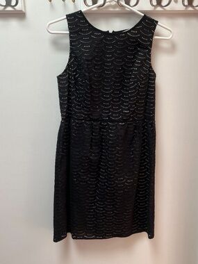LOFT Black Eyelet Lace Dress Size 4P Fit & Flare Lined Sleeveless